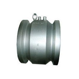 Non-Slam Check Valve