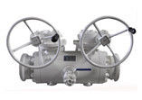 DBB Valves